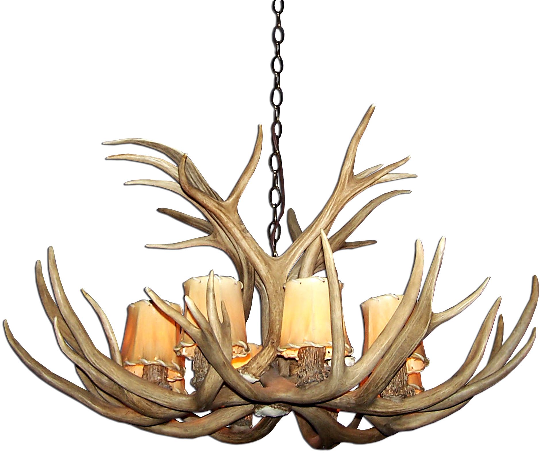 Image 3 Antler 29" Wide Natural-Shed Mule Deer 6-Light Chandelier more views
