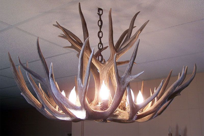 Image 4 Antler 29" Wide Natural-Shed Mule Deer 6-Light Chandelier more views