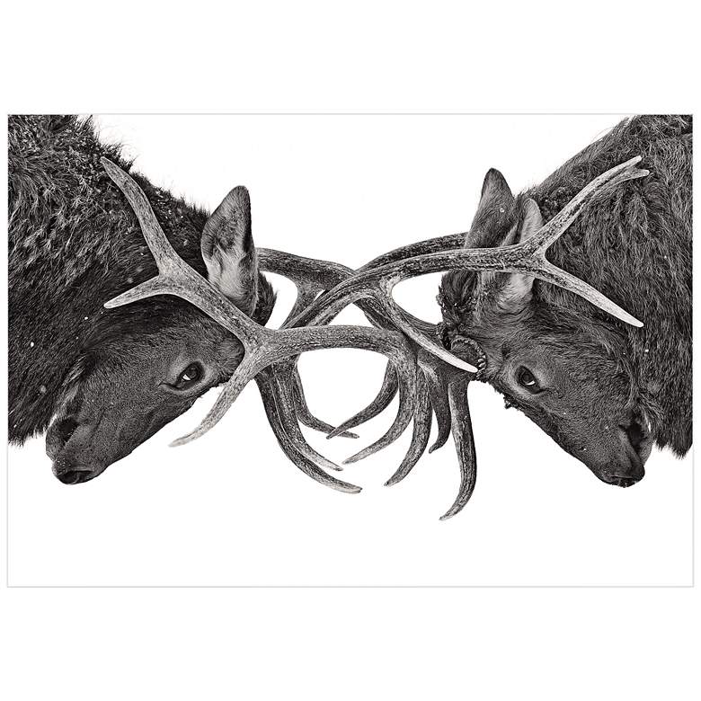 Image 1 Antler to Antler 32 inch Wide Wall Art Print