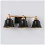 3_Aphrocallistes 22 3/4"W Black and Gold 3-Light Bath Light more views