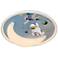 Apollo 18 1/2" Wide Moon Mission LED Ceiling Light
