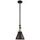 Appalachian 8" Wide Black Brass Stem Hung Mini Pendant w/ Matte Black