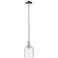Arcadia Bella 6"W Polished Nickel Stem Mini Pendant w/ Seedy Shade
