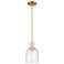 Arcadia Bella 6"W Satin Gold Stem Hung Mini Pendant With Seedy Shade