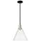 Arcadia Berkshire Glass 12"W Black Brass Stem Pendant w/ Clear Shade