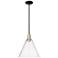 Arcadia Berkshire Glass 12"W Black Brass Stem Pendant w/ Seedy Shade