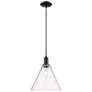 1_Arcadia Berkshire Glass 12"W Black Cord Mini Pendant w/ Seedy Shade