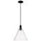 Arcadia Berkshire Glass 12"W Black Cord Mini Pendant w/ Seedy Shade