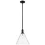 Arcadia Berkshire Glass 12"W Black Stem Mini Pendant w/ Clear Shade