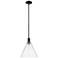 Arcadia Berkshire Glass 12"W Black Stem Mini Pendant w/ Clear Shade