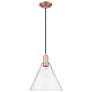 1_Arcadia Berkshire Glass 12"W Copper Cord Mini Pendant w/ Clear Shade
