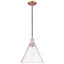 1_Arcadia Berkshire Glass 12"W Copper Cord Mini Pendant w/ Seedy Shade