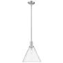 1_Arcadia Berkshire Glass 12"W Nickel Stem Pendant w/ Clear Shade