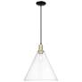 1_Arcadia Berkshire Glass 16"W Black Brass Cord Pendant w/ Clear Shade