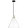 Arcadia Berkshire Glass 16"W Black Brass Cord Pendant w/ Clear Shade