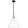 Arcadia Berkshire Glass 16"W Black Brass Stem Pendant w/ Clear Shade