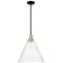 Arcadia Berkshire Glass 16"W Black Brass Stem Pendant w/ Seedy Shade