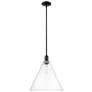 Arcadia Berkshire Glass 16"W Black Stem Mini Pendant w/ Clear Shade
