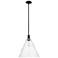 Arcadia Berkshire Glass 16"W Black Stem Mini Pendant w/ Seedy Shade