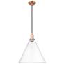 1_Arcadia Berkshire Glass 16"W Copper Cord Mini Pendant w/ Clear Shade
