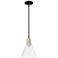 Arcadia Berkshire Glass 8"W Black Brass Stem Pendant w/ Clear Shade