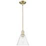 Arcadia Berkshire Glass 8"W Brass Stem Mini Pendant w/ Clear Shade