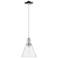 Arcadia Berkshire Glass 8"W Chrome Cord Mini Pendant w/ Seedy Shade