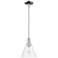 Arcadia Berkshire Glass 8"W Chrome Stem Mini Pendant w/ Clear Shade
