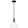 Arcadia Berkshire Glass 8"W Oiled Bronze Stem Pendant w/ Clear Shade