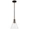 Arcadia Berkshire Glass 8"W Oiled Bronze Stem Pendant w/ Seedy Shade