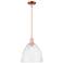 Arcadia Bristol 12"W Copper Stem Hung Mini Pendant With Seedy Shade