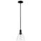 Arcadia Bristol 8"W Matte Black Stem Hung Mini Pendant w/ Clear Shade
