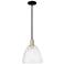 Arcadia Bristol 9"W Black Brass Stem Hung Mini Pendant w/ Seedy Shade