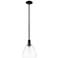 Arcadia Bristol 9"W Matte Black Stem Hung Mini Pendant w/ Clear Shade