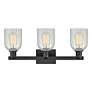 2_Arcadia Caledonia 24"W 3 Light Black Vanity Light w/ Mouchette Shade more views
