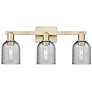 1_Arcadia Caledonia 24"W 3 Light Brass Vanity Light With Charcoal Shade