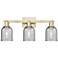 Arcadia Caledonia 24"W 3 Light Brass Vanity Light With Charcoal Shade