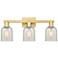 Arcadia Caledonia 24"W 3 Light Gold Vanity Light w/ Mouchette Shade
