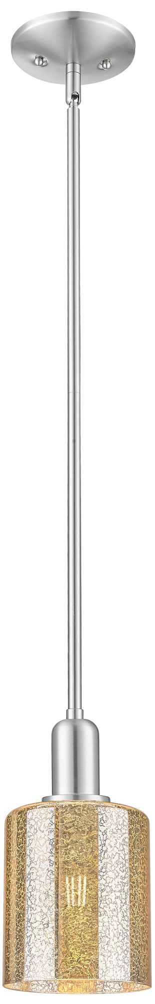 Arcadia Cobbleskill 5