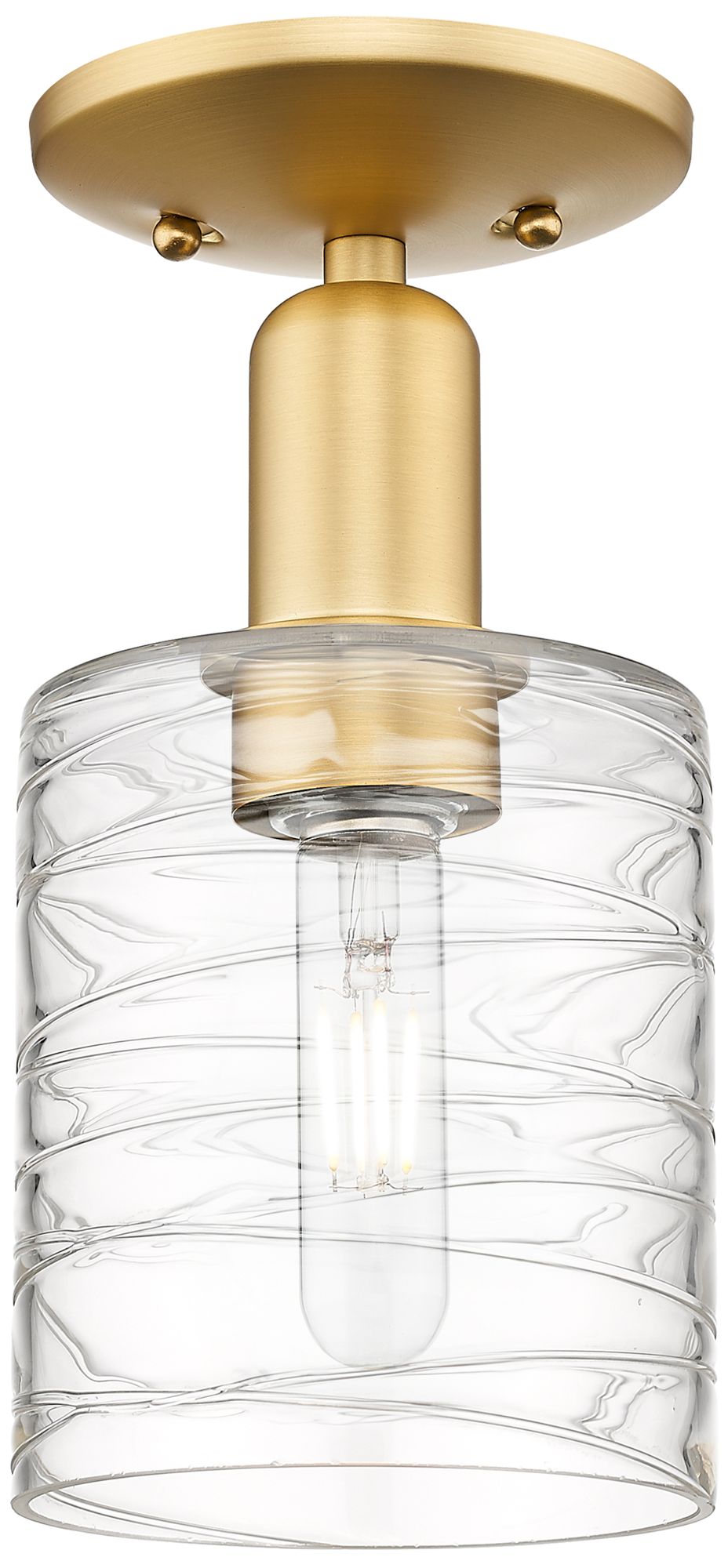 Arcadia Cobbleskill 5