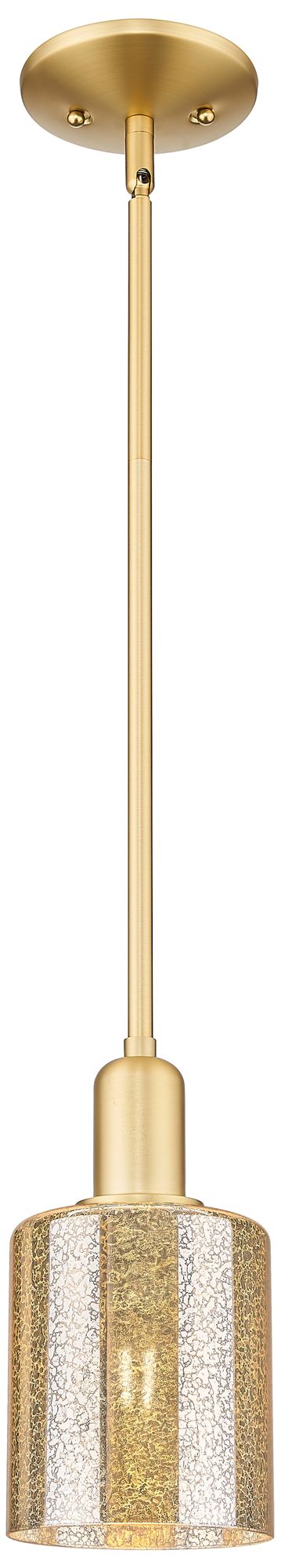 Arcadia Cobbleskill 5