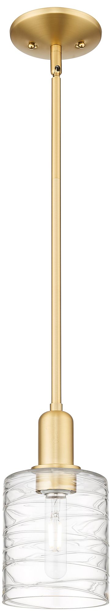 Arcadia Cobbleskill 5