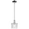 Arcadia Niagara 7"W Chrome Stem Hung Mini Pendant w/ Clear Shade