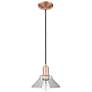 1_Arcadia Orwell 8"W Copper Cord Hung Mini Pendant With Clear Shade