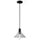 Arcadia Orwell 8"W Matte Black Cord Hung Mini Pendant With Clear Shade