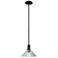 Arcadia Orwell 8"W Matte Black Stem Hung Mini Pendant With Clear Shade