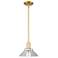 Arcadia Orwell 8"W Satin Gold Stem Hung Mini Pendant With Clear Shade