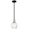 Arcadia Waverly 6"W Black Brass Stem Hung Mini Pendant w/ Clear Shade