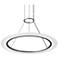 Arctic Rings 30" Single LED Ring Pendant w/ 20' Cord/Cable - Satin
