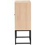 Ardon 26 3/4" Wide Light Brown Rattan 2-Door Storage Cabinet